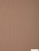 Мини рулонные шторы Delfa Сантайм СРШ 01МД 2880 48x170 (какао, рисунок роял)