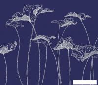 Виниловые обои Citydecor Perfect Lines 5 300x270