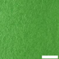 Жидкие обои Silk Plaster Art Design I 302