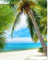 Фотообои Citydecor Вид на море 200x254