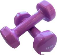 Набор гантелей Indigo 92005 IR 2x1.5 кг (сиреневый)