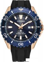 Наручные часы Citizen Promaster BN0196-01L