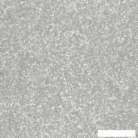 Жидкие обои Silk Plaster Provence 037