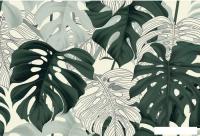 Фотообои Vimala Листья монстеры 2 270x400