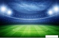 Фотообои Citydecor Стадион 400x254