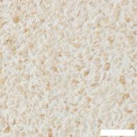 Жидкие обои Silk Plaster Relief 325