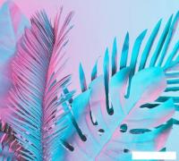 Фотообои Vimala Неоновые листья 270x300