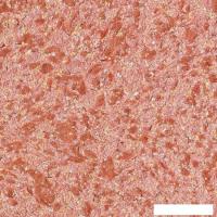 Жидкие обои Silk Plaster South 949