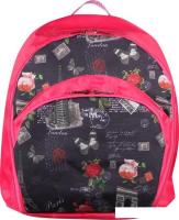 Спортивный рюкзак Indigo SM-200 (париж)