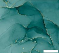 Фотообои Vimala Флюиды бирюзовые 270x300