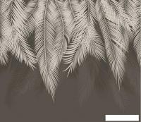 Фотообои Citydecor Пальмовые листья 300x260 (графит)