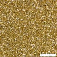 Жидкие обои Silk Plaster East 952