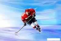 Фотообои Vimala Хоккеист 270x400