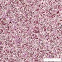 Жидкие обои Silk Plaster Victoria 713