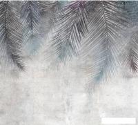 Фотообои Vimala Листья пальмы в серо-голубом 270x300