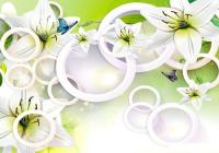 Фотообои Citydecor Круги 3D 200x140