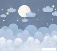 Фотообои Vimala Ночное небо 270x300