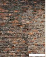Фотообои Citydecor Кирпичи 3D 200x254