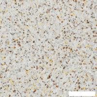 Жидкие обои Silk Plaster Nord 922