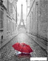 Фотообои Citydecor Красный зонт 200x254