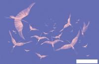 Виниловые обои Citydecor Perfect Lines 14 400x260