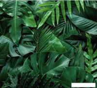 Фотообои Vimala Объемные листья 2 270x300