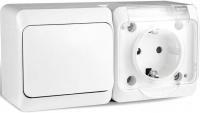 Выключатель Tokov Electric TKE-NX-V1RZ-C01T-IP54