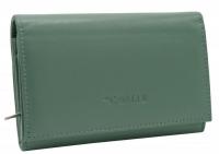 Кошелек Cedar 4U Cavaldi RD-22-GCL (бирюзовый)