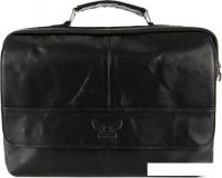 Мужская сумка Poshete 253-35202-24-BLK (черный)