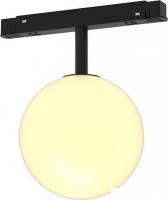 Трековый светильник Maytoni Exility Luna TR038-2-5W3K
