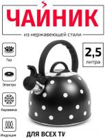 Чайник со свистком TimA WTK135BLK
