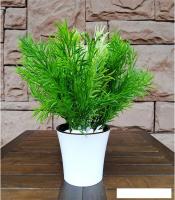 Искусственное растение Forgarden Аспарагус MIX BN10601 30 см