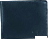 Кошелек Sanchez Casual AM-102R-033 (синий)