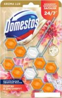 Средство для унитаза Domestos Power 5 Экзотический букет Дуо 2x50 г