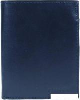 Кошелек Sanchez Casual ZM-110R-072 (синий)