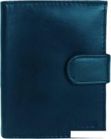Кошелек Sanchez Casual ZM-110R-123A (синий)