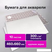 Набор бумаги для рисования BRAUBERG Art Premiere 113234 (10 л)