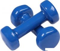 Набор гантелей Indigo 92005 IR 2x2 кг (синий)