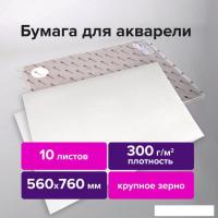 Набор бумаги для рисования BRAUBERG Art Premiere 113239 (10 л)