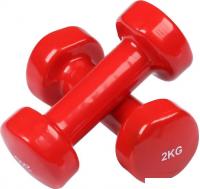 Набор гантелей Indigo 92005 IR 2x2 кг (красный)