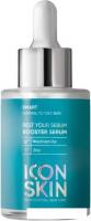 Icon Skin Сыворотка для лица Rest Your Sebum Себорегулирующая с ниацинамидом 30 мл