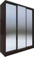 Шкаф-купе Евва 233 VG.05 АЭП ШК.3 01 (венге/зеркало/венге глянец)