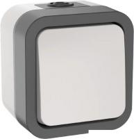 Выключатель IEK Tors TS-V16-0-10-55-K41