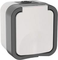 Розетка IEK Tors TS-R16-16-55-K41