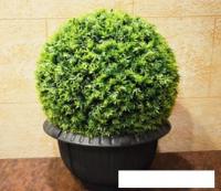 Искусственное растение Green Fly Самшит Крапива С-15-40 (40 см)