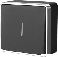 Выключатель Werkel W5010135