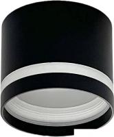 Точечный светильник TruEnergy 21016