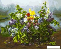 Картина по номерам Белоснежка Утренний сюрприз 218-АВ