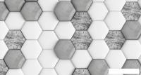 Фотообои ФабрикаФресок Шестиугольники 645270 (500x270)