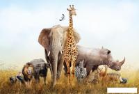 Фотообои ФабрикаФресок Африканские звери 484270 (400x270)